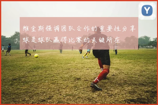 维金斯强调团队合作的重要性分享球是球队赢得比赛的关键所在